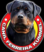 Ferreira Kummel Cachorro